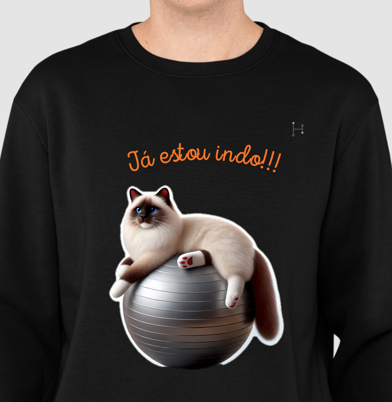 Gato - Ragdoll 