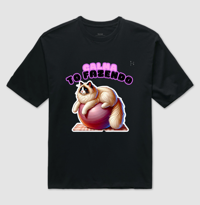 Gato - Ragdoll