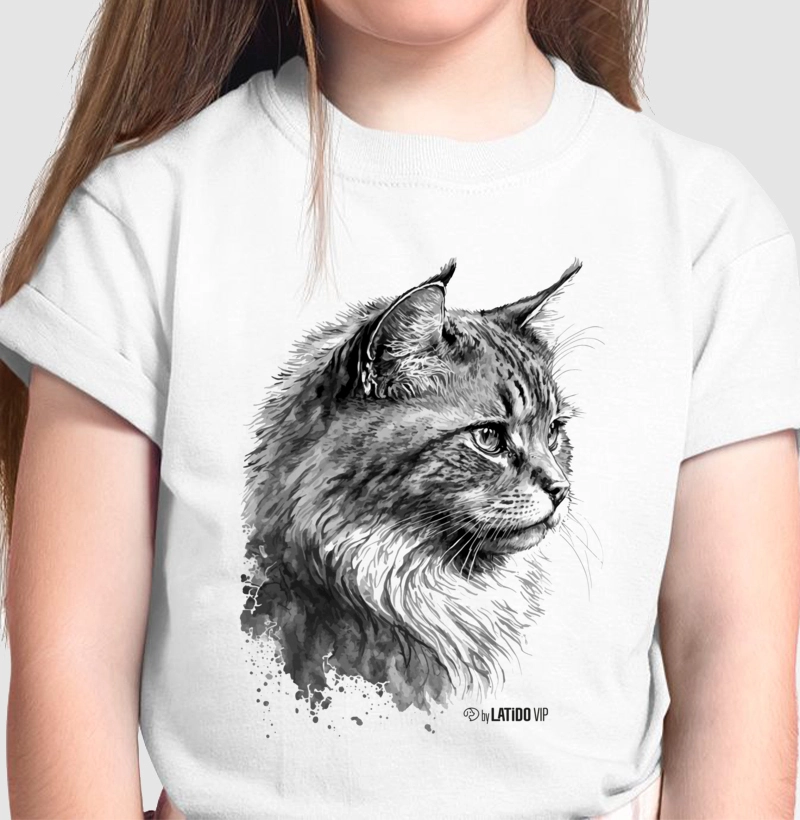 Gato