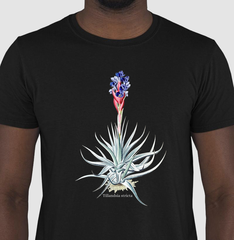Camiseta Tshirt Tillandsia stricta 2