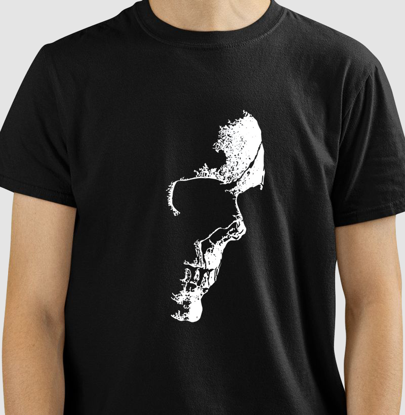 Camiseta Old Skull