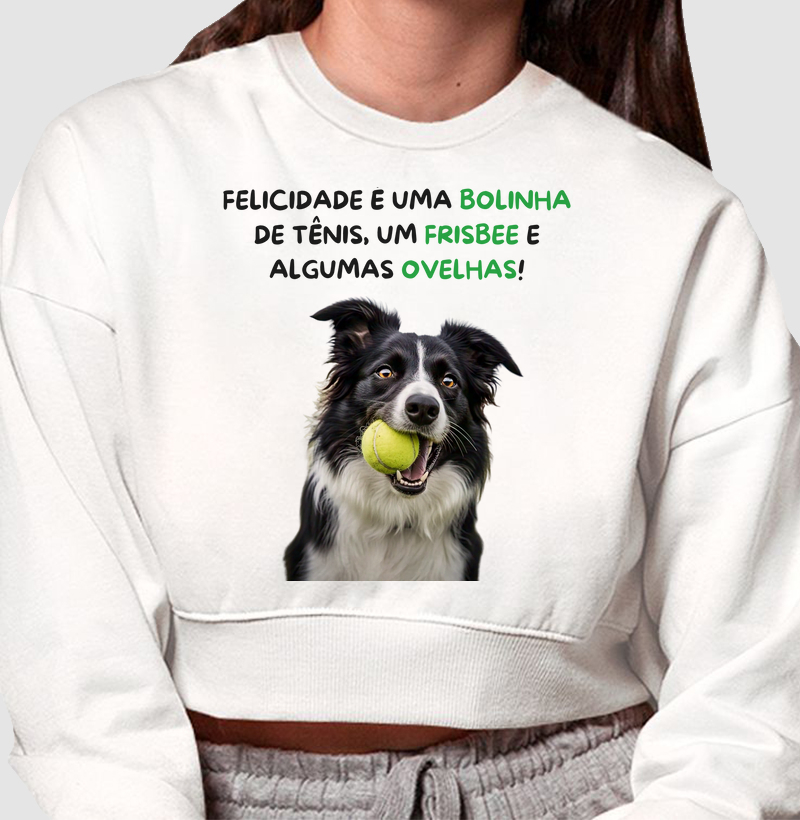 Felicidade é uma bolinha, um frisbee e algumas ovelhas