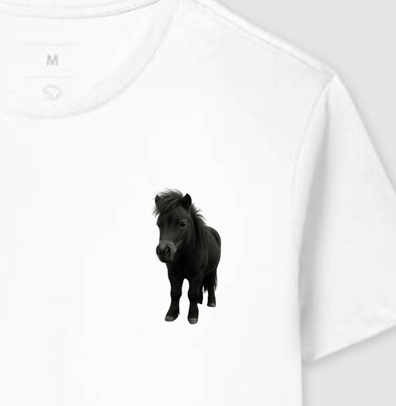 Mini Horse 