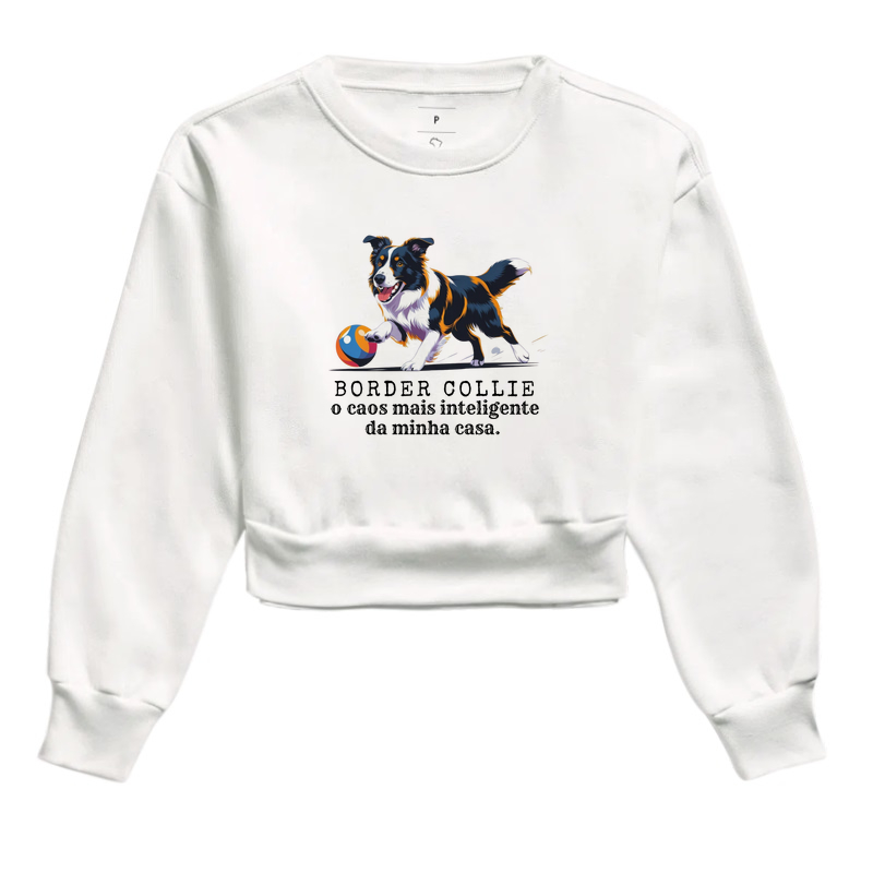 Border Collie, o caos mais inteligente da minha casa!