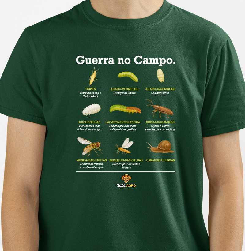 Guerra no Campo.