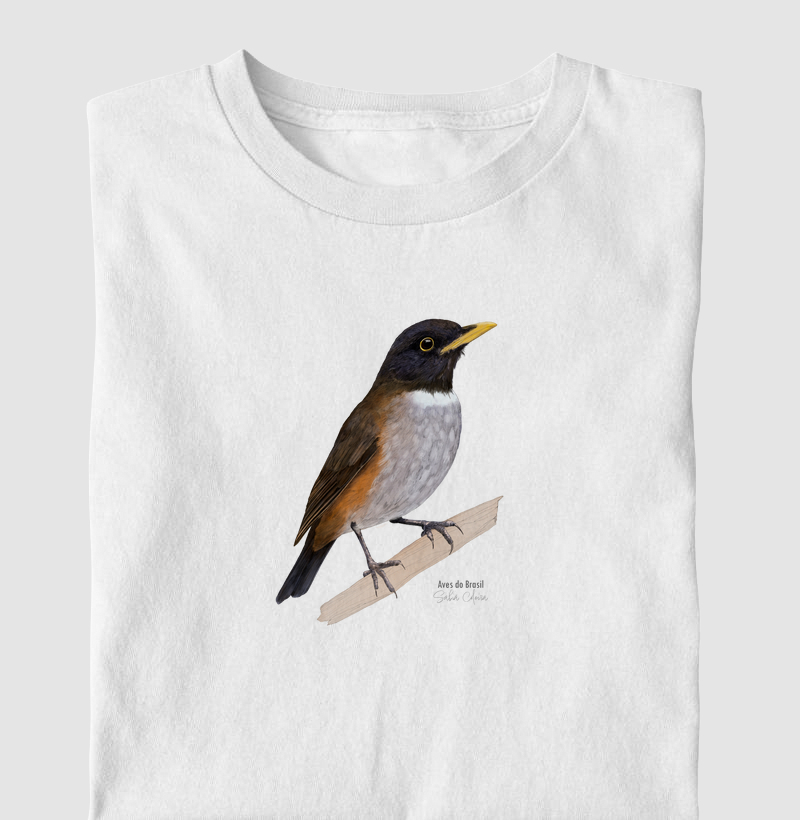 Aves do Brasil - Sabiá Coleira - Infantil