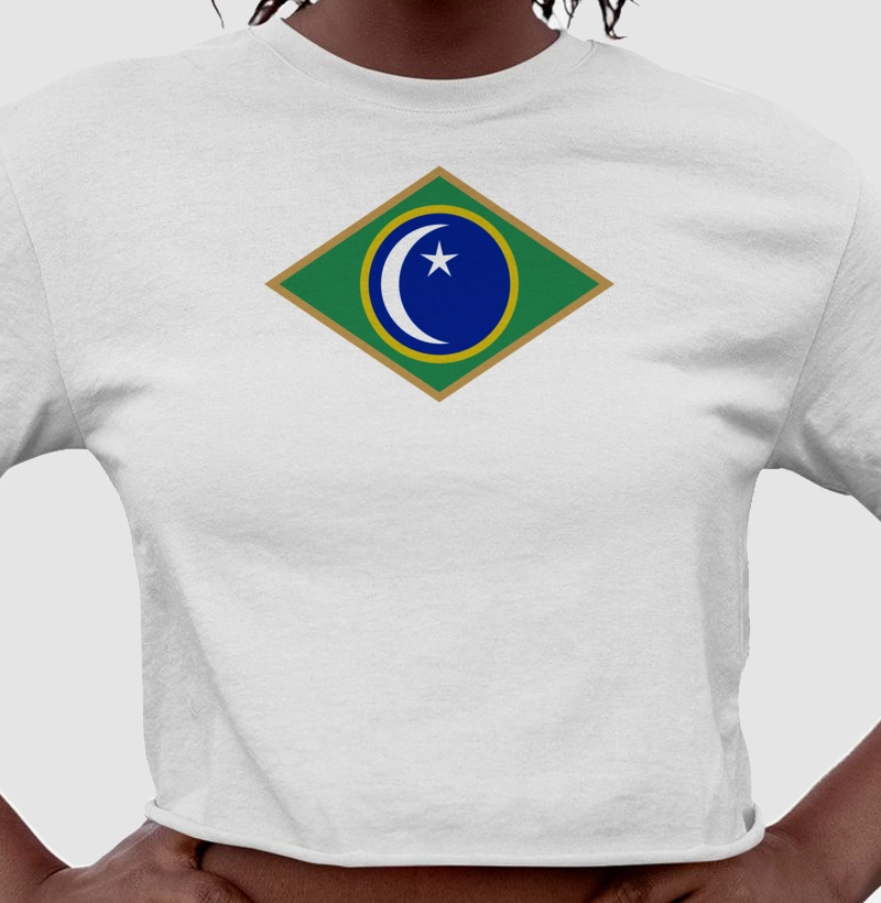 Bandeira Santa Maria 