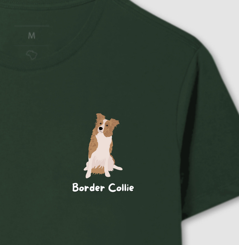 Border show