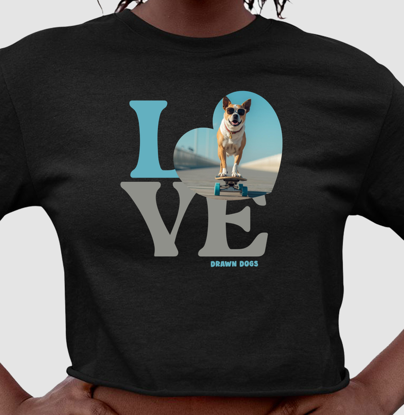 Love - cachorro no skate