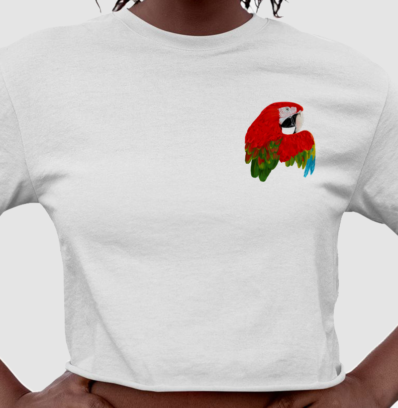 Mini Aves - Arara vermelha - Cropped