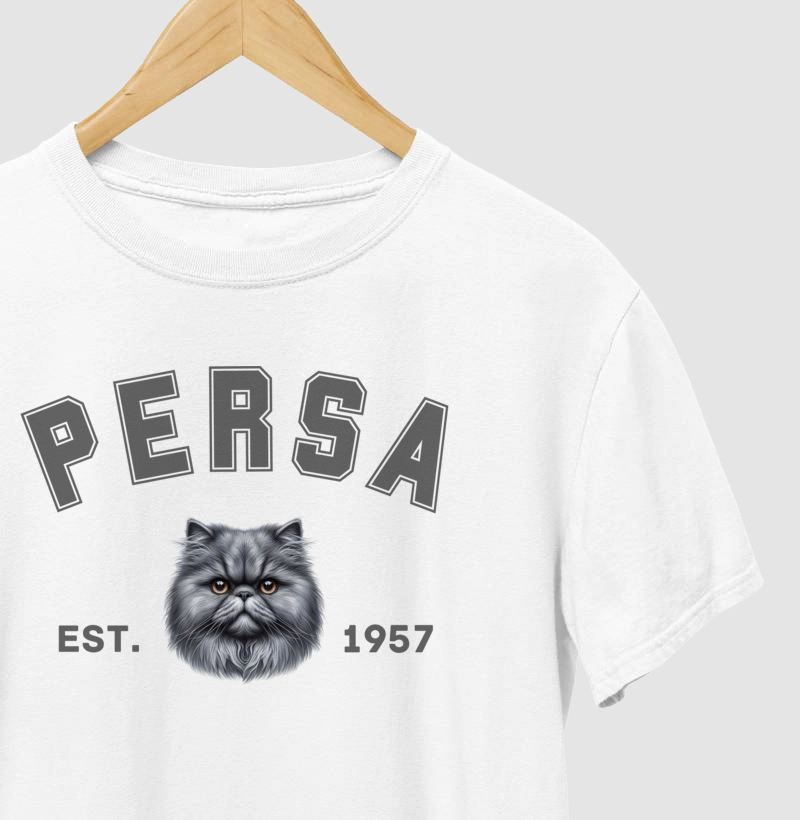 College - Persa