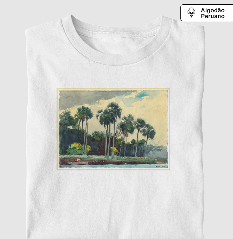 Red Shirt Homosassa Florida 1904 Winslow Homer