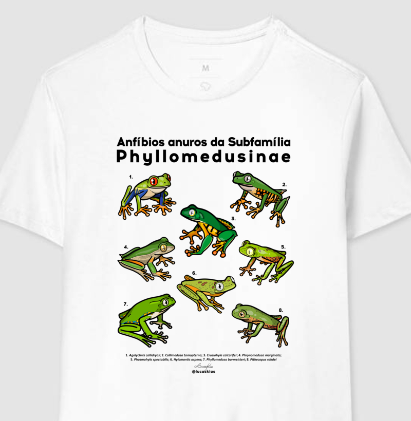 Anfíbios anuros da Subfamília Phyllomedusinae - Modelo A
