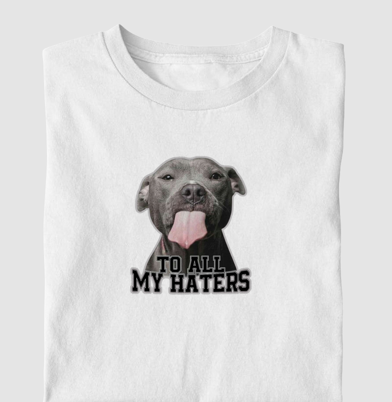 To all My Haters