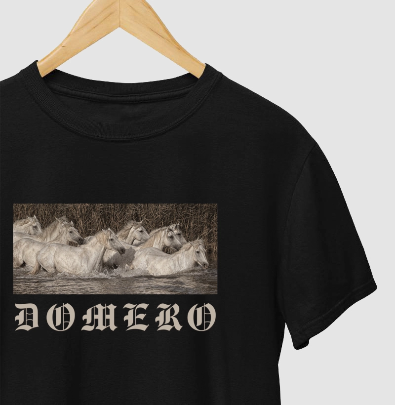 camiseta chaco