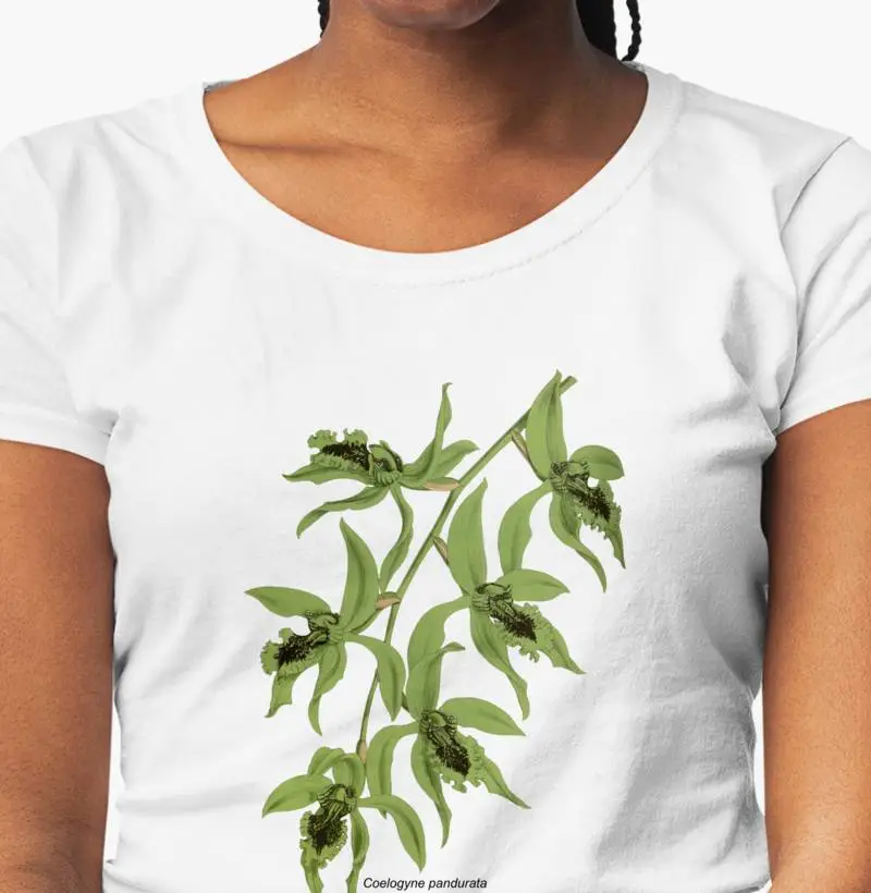 Baby Look Coelogyne pandurata t-shirt