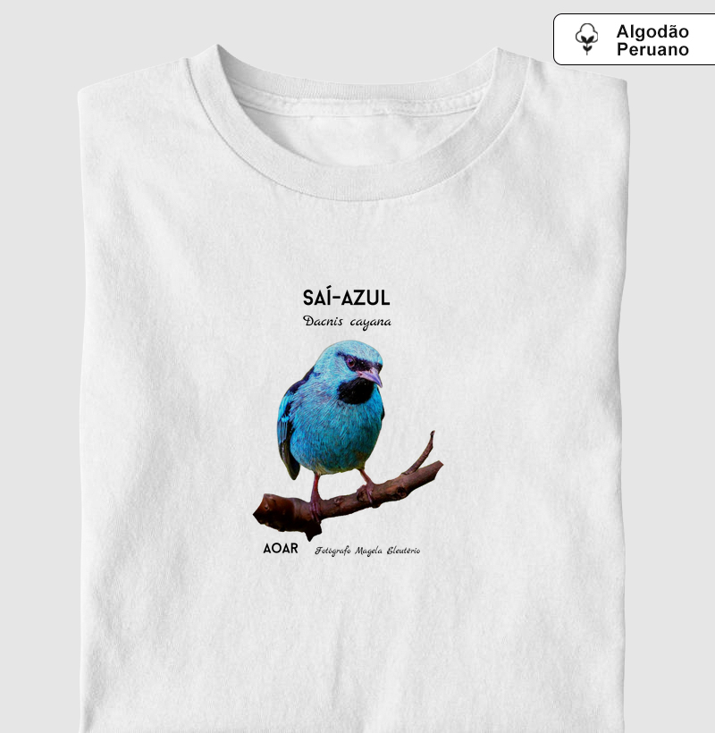 Aves da mata atlântica com Magela Eleutério SAÍ-AZUL