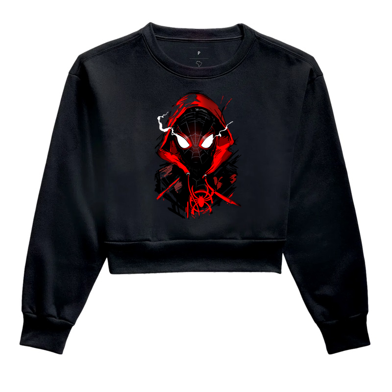 Spider Man Aranhaverso