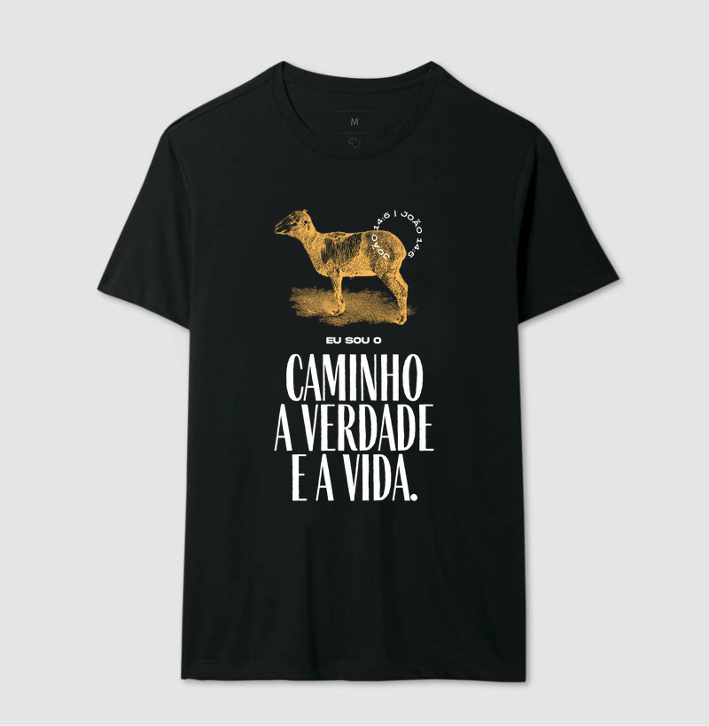 O Caminho e a Verdade