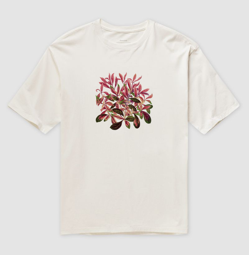 Alternanthera