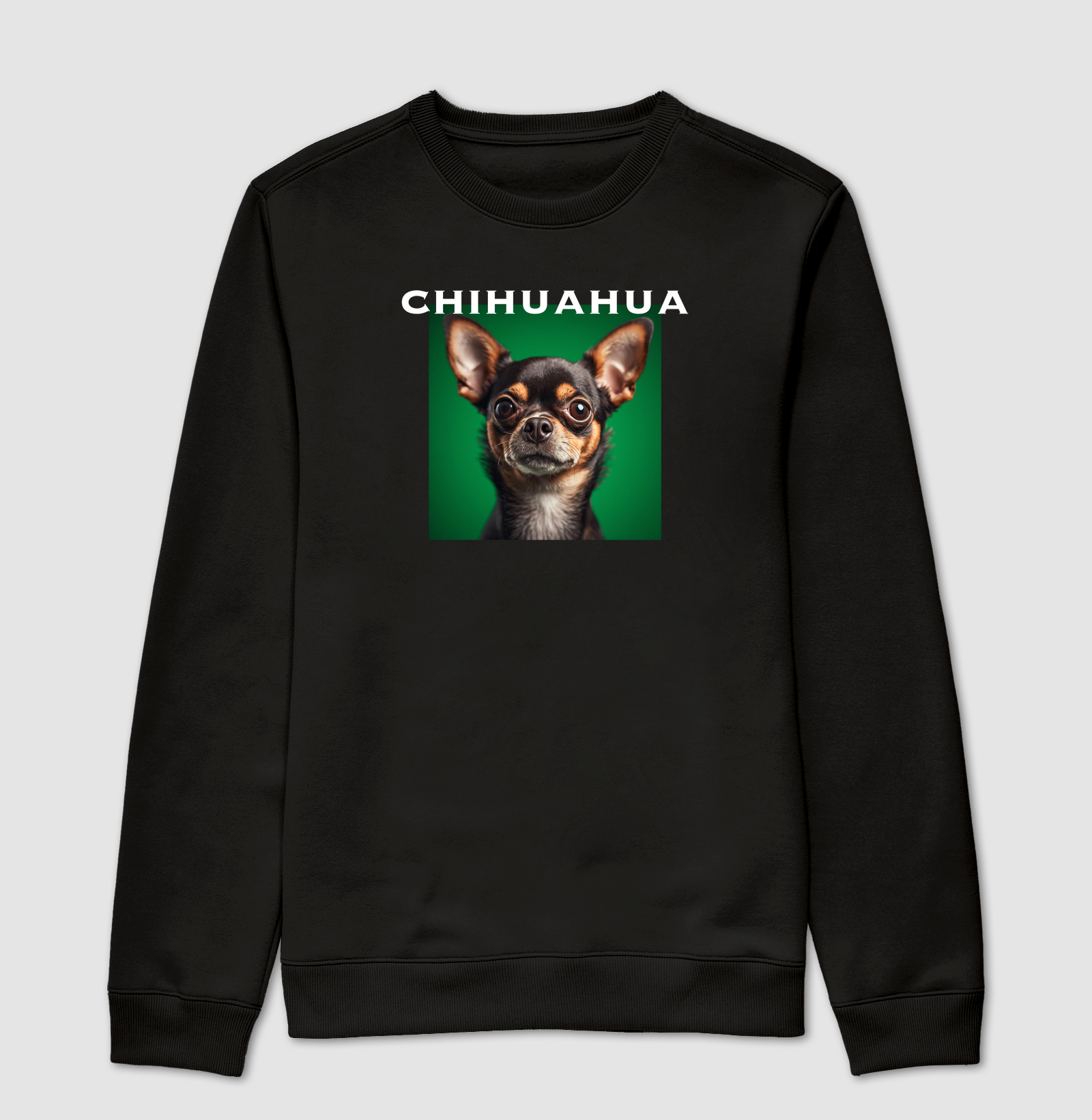 Chihuahua