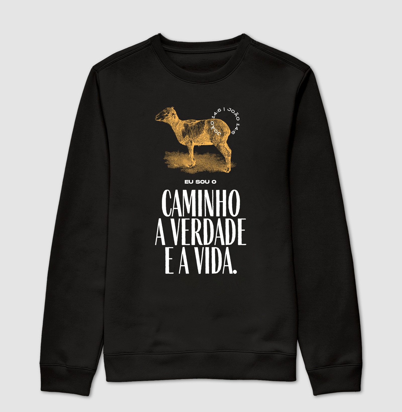 Caminho verdade e a vida