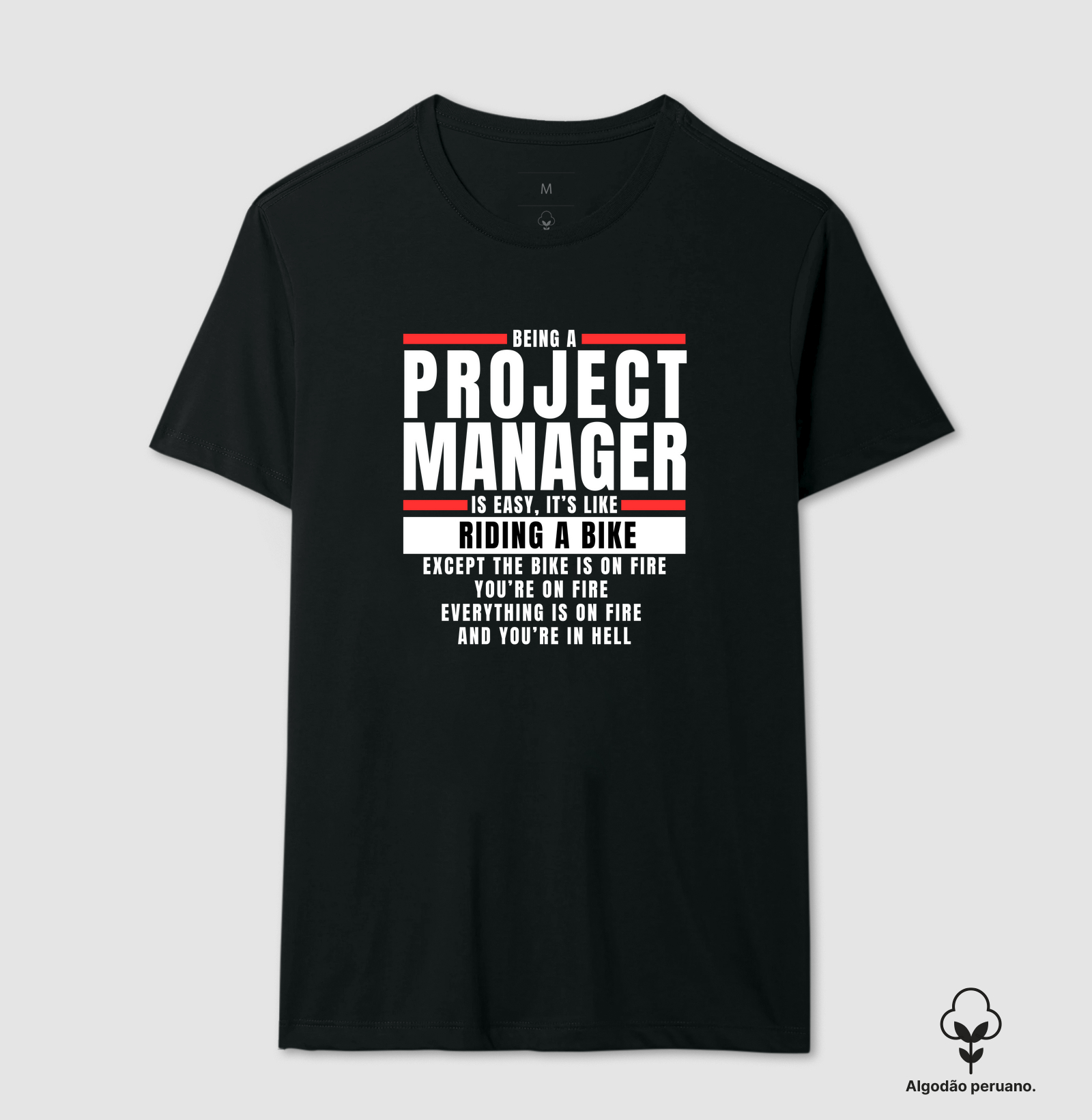 Project Manager II