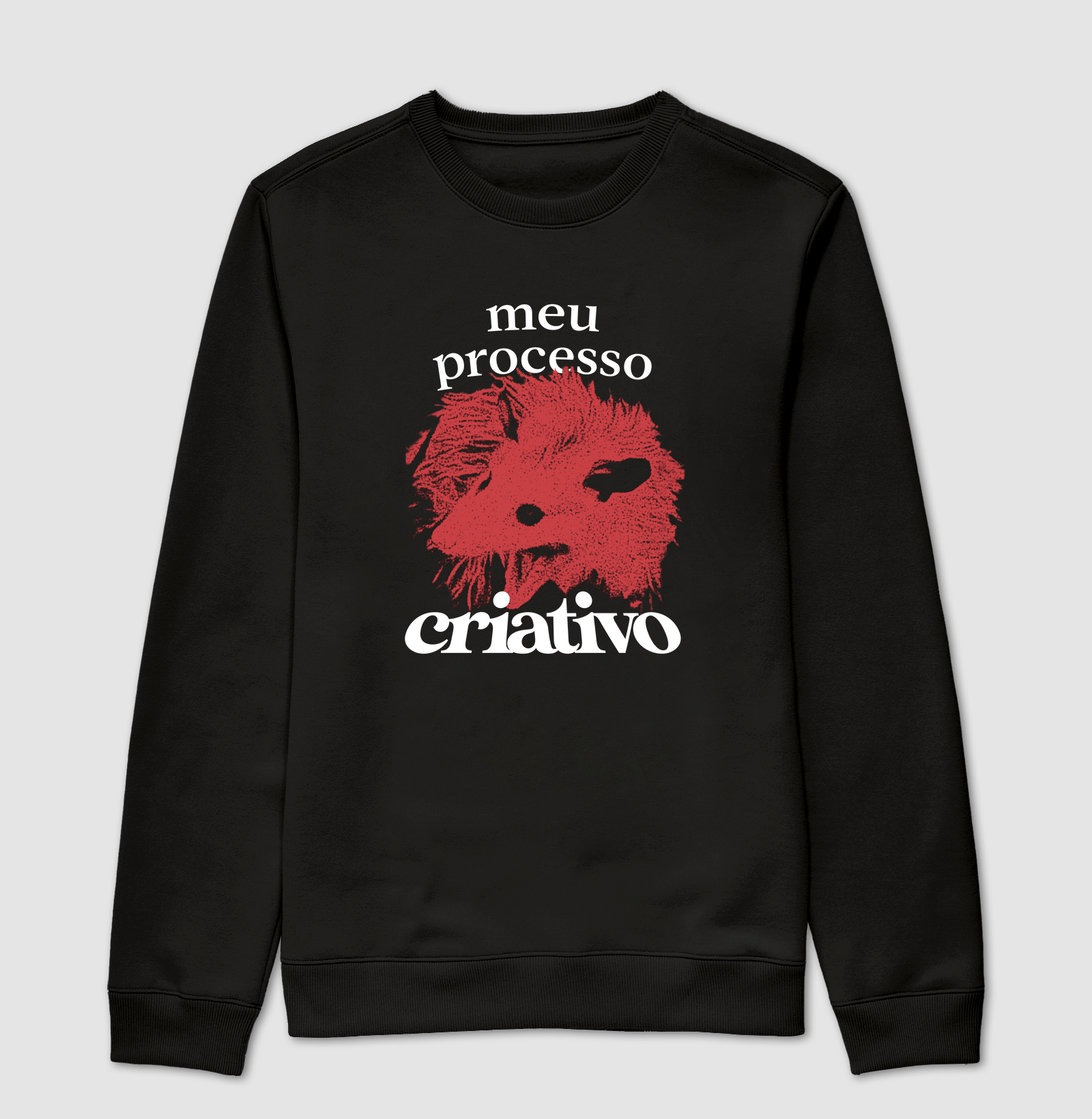 Meu Processo Criativo