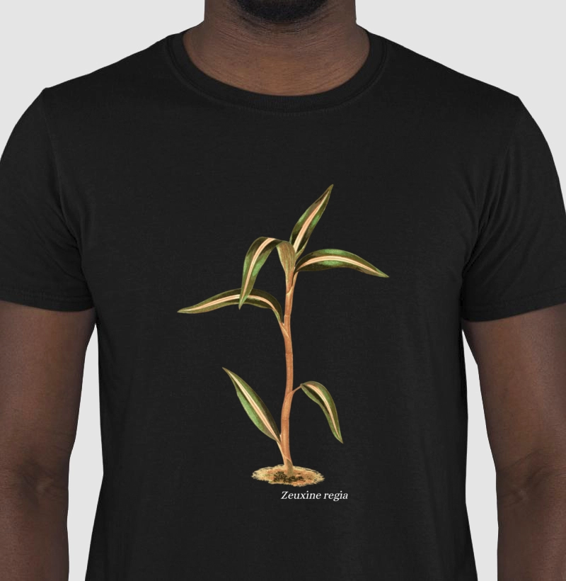 Camiseta Zeuxine regia
