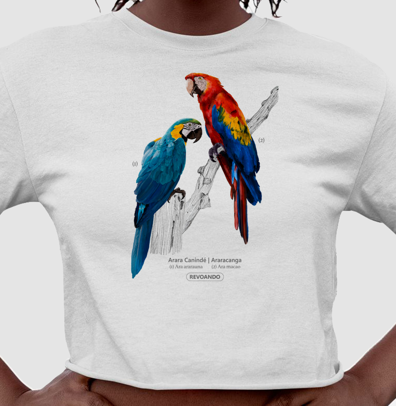 Aves do Brasil - Arara Canindé e Araracanga - Cropped