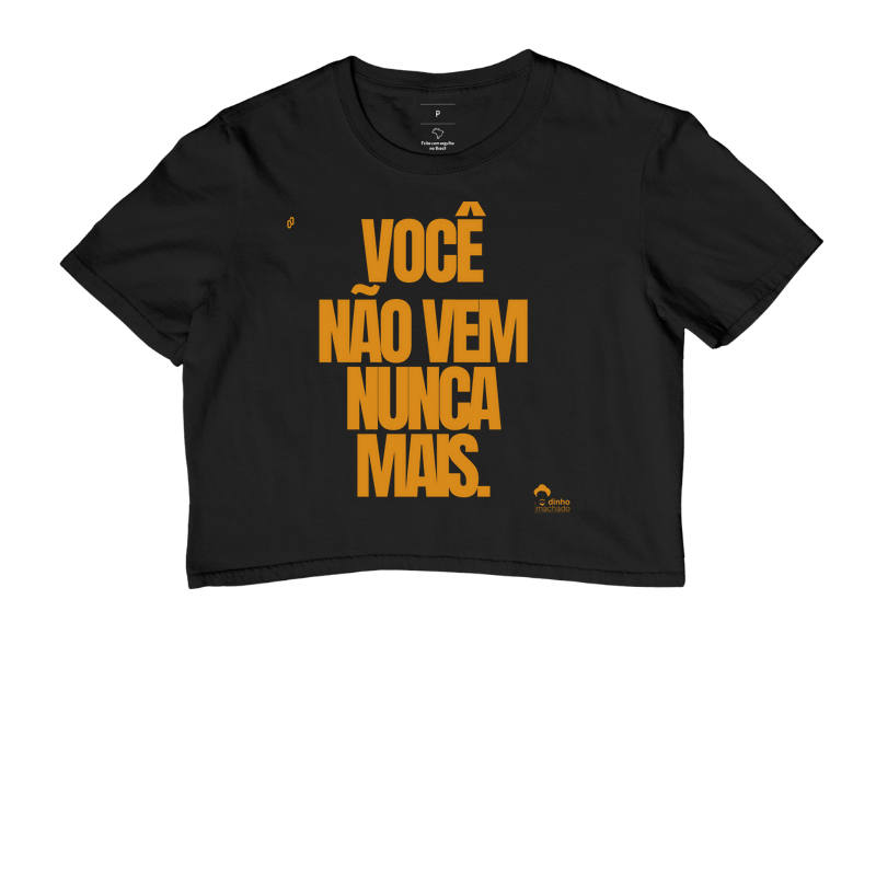 702 - DINHO MACHADO - VOCÊ NÃO VEM MAIS
