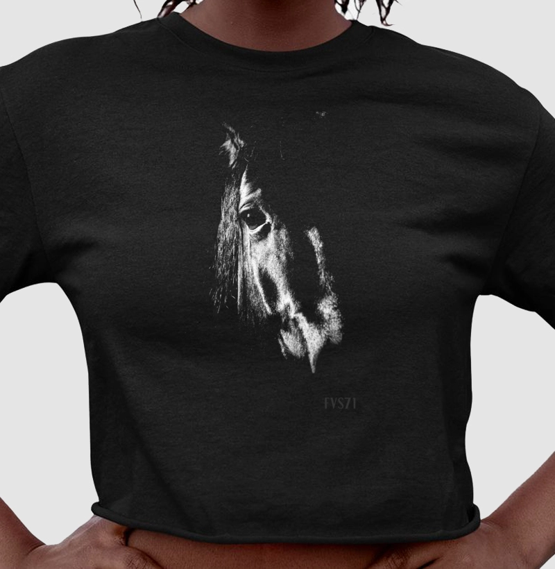 Cavalo Negro