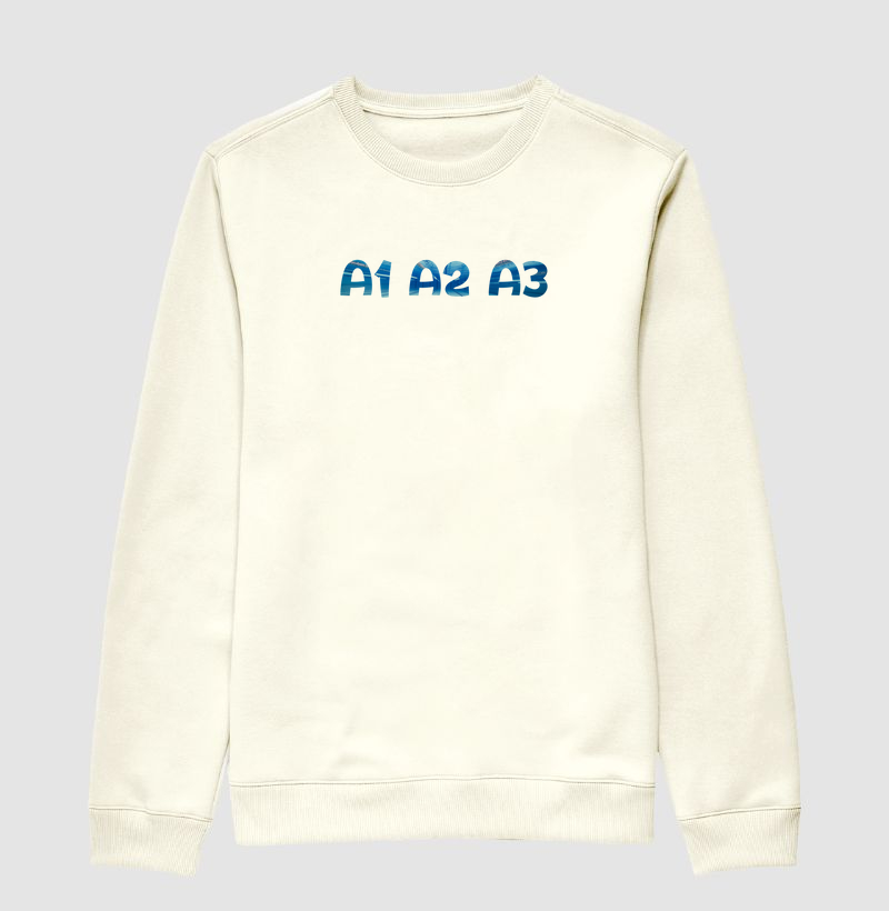 A1 A2 A3