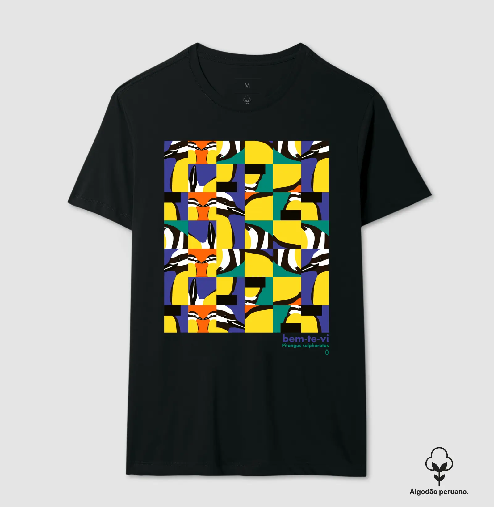 BEM-TE-VI_01
