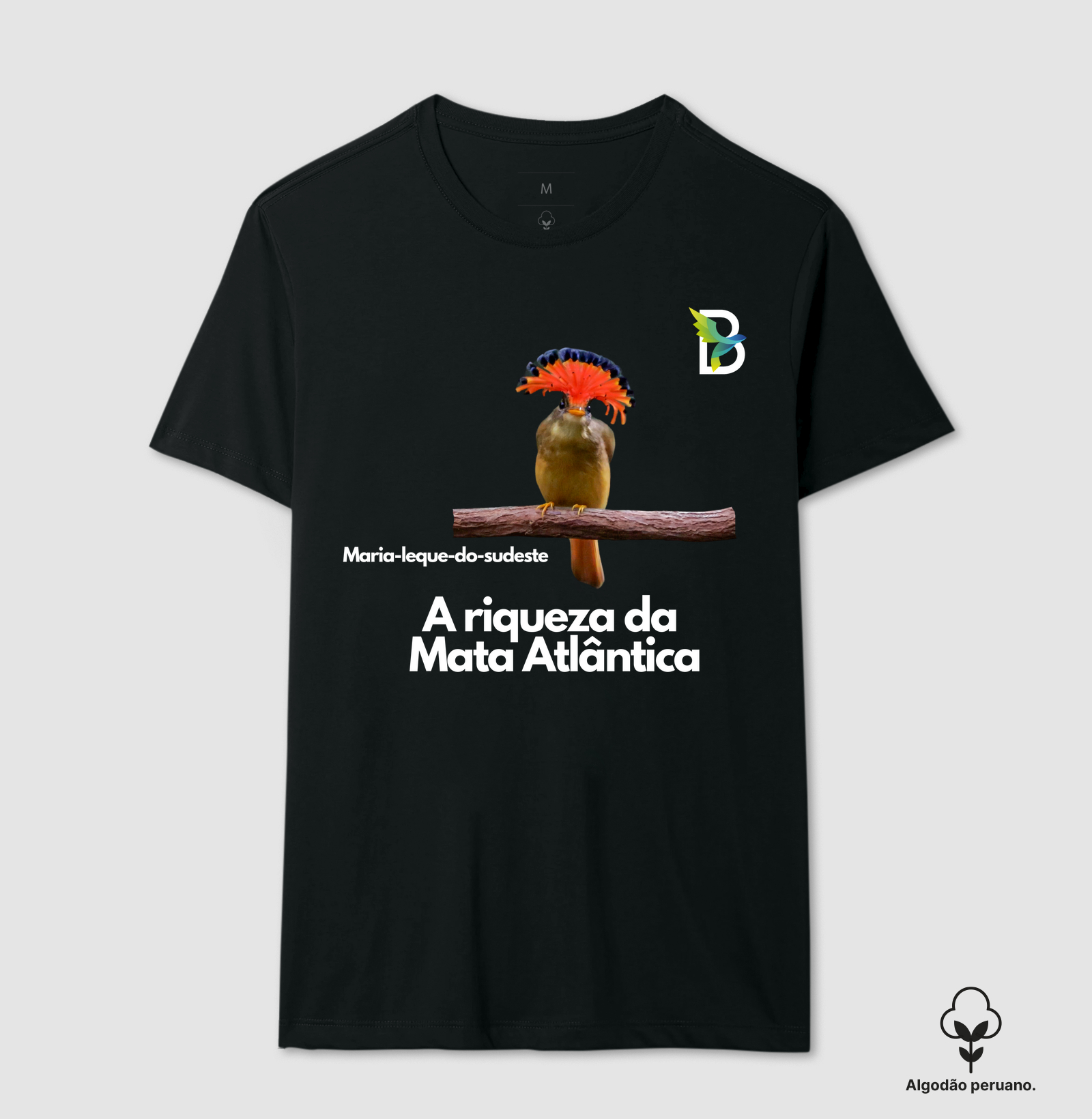 MARIA LEQUE DO SUDESTE