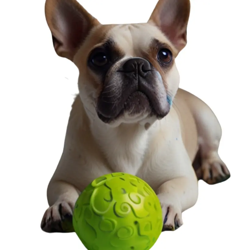 camiseta Dog 