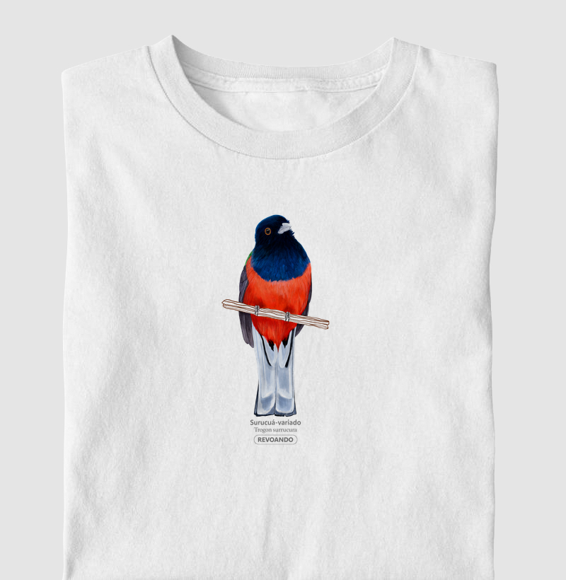 Aves do Brasil - Surucuá-variado - Infantil