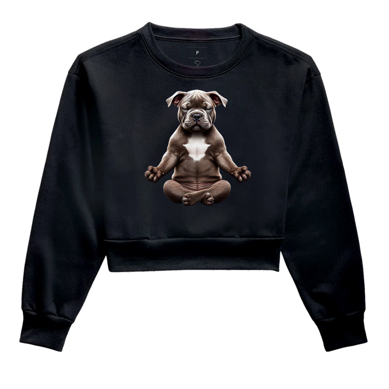 American Bully Meditando