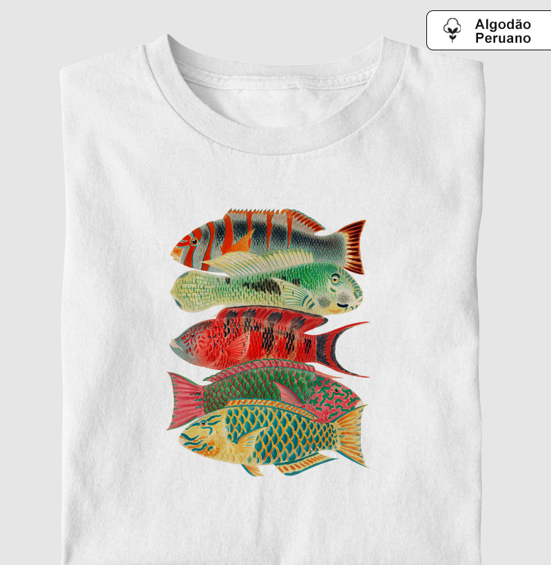 Great Barrier Reef Fishes