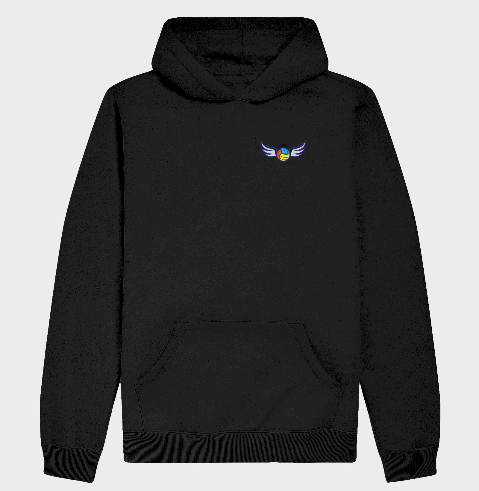 minimalista asas