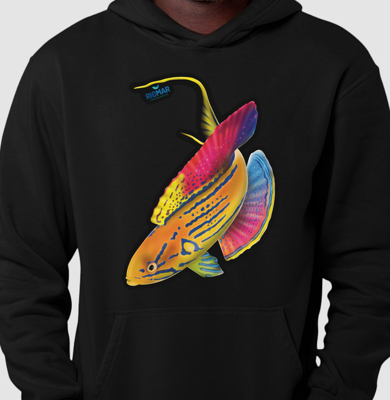Wrasse Madagascar 
