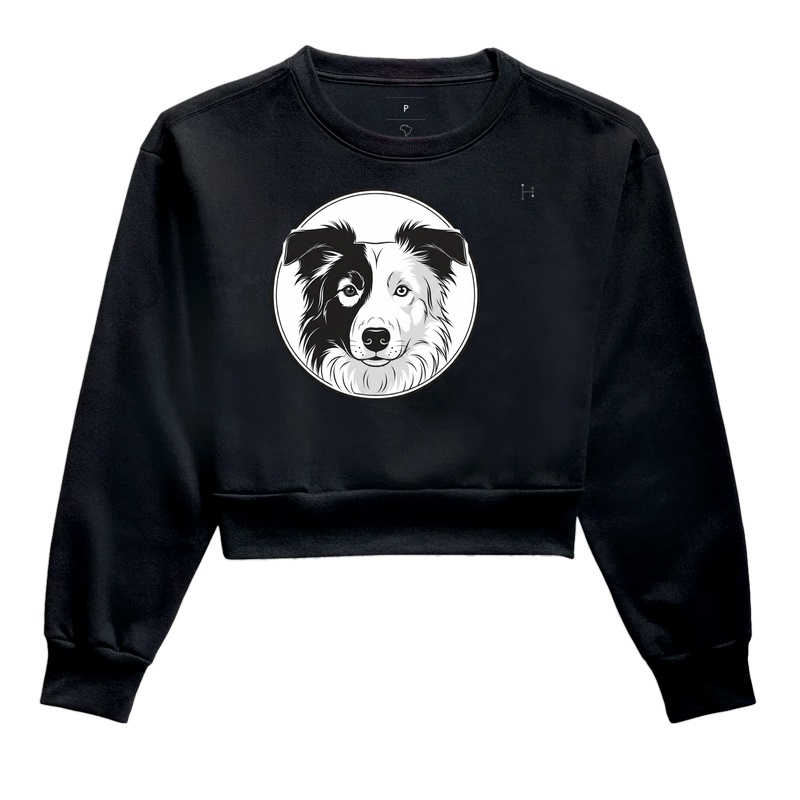 Border Collie - Parceria Pet Raiz