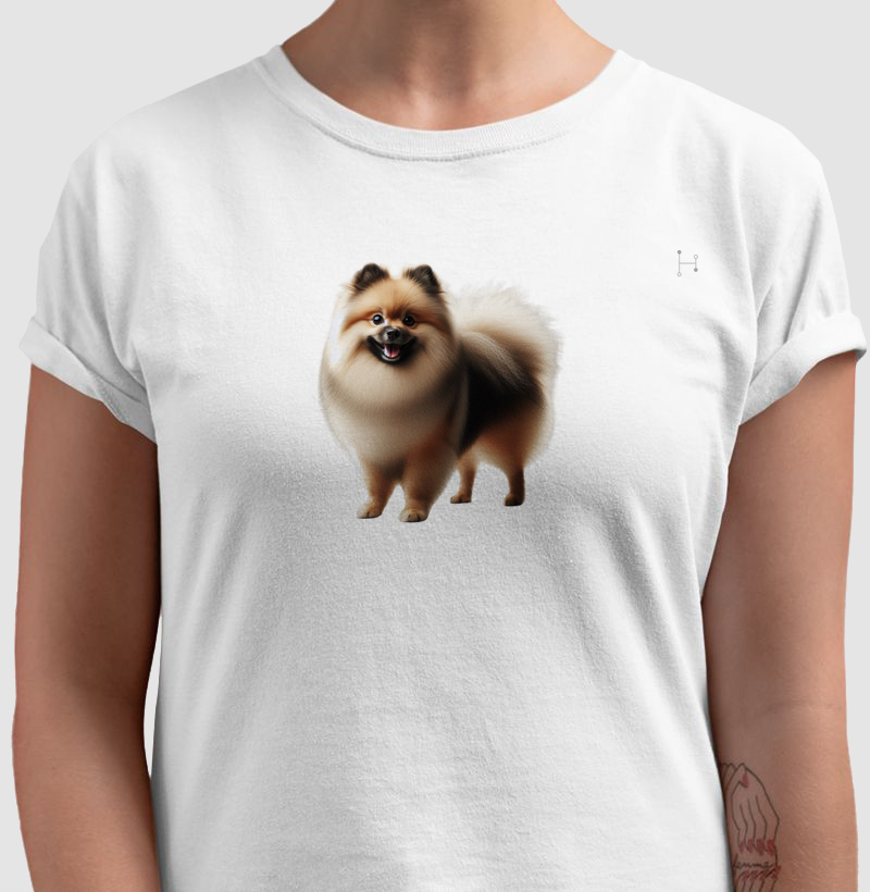 Lulu da Pomerânia | Spitz Alemão 4