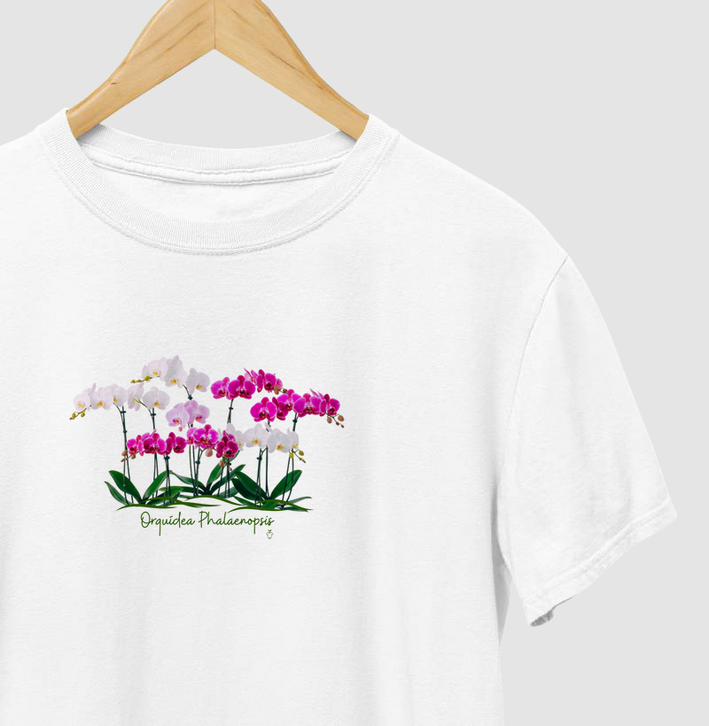 Orquídea Phalaenopsis