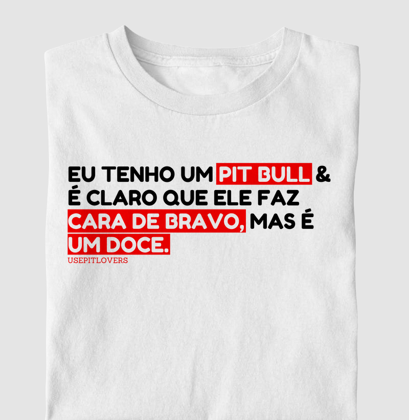 EU TENHO UM PITBULL E É CLARO QUE ELE FAZ CARA DE BRAVO MAIS É UM DOCE.