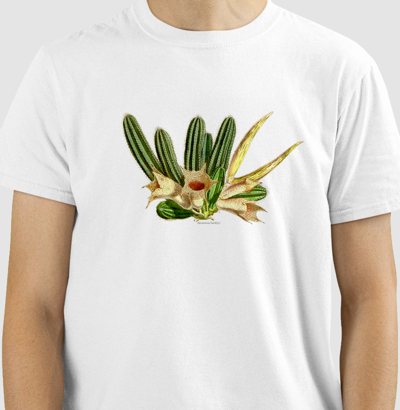Camiseta Tshirt Tavaresia barklyi