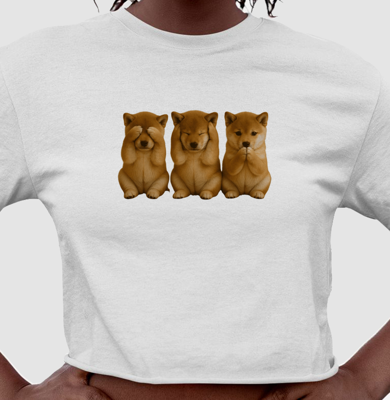 3 Shibas Sábios