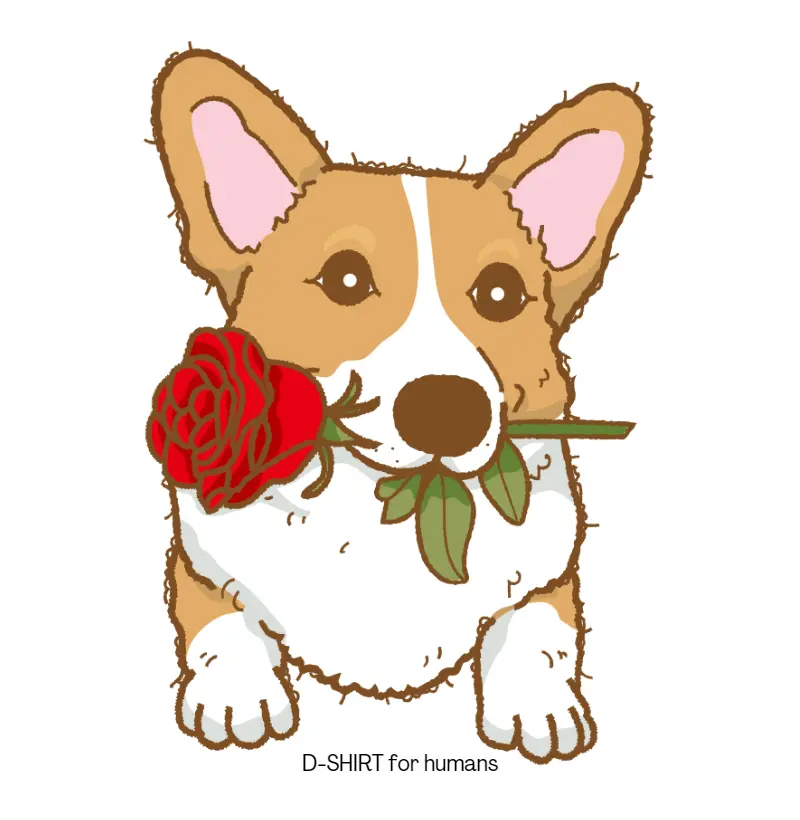 Dia dos Namorados corgi