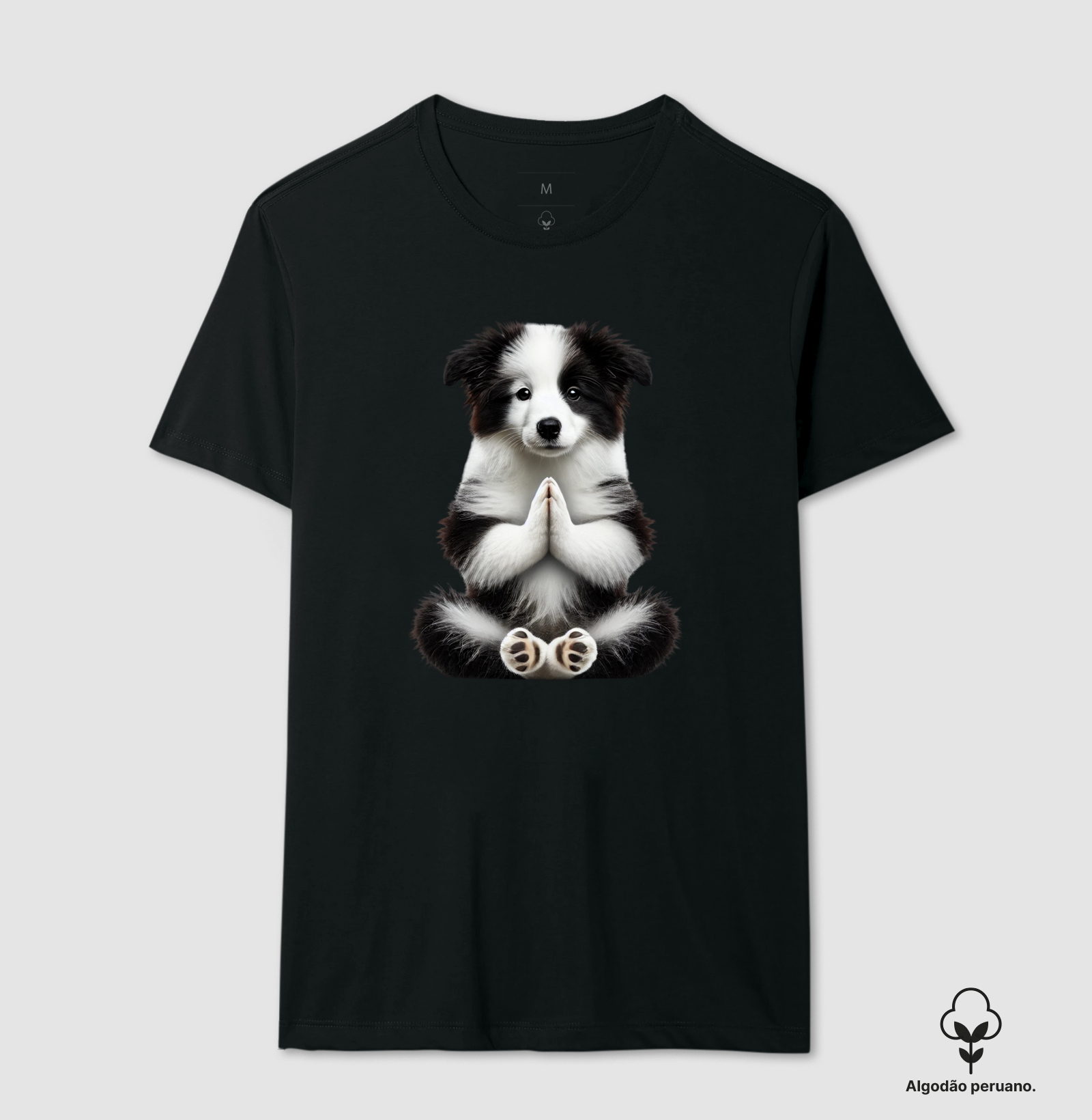 Border Collie Gratidão