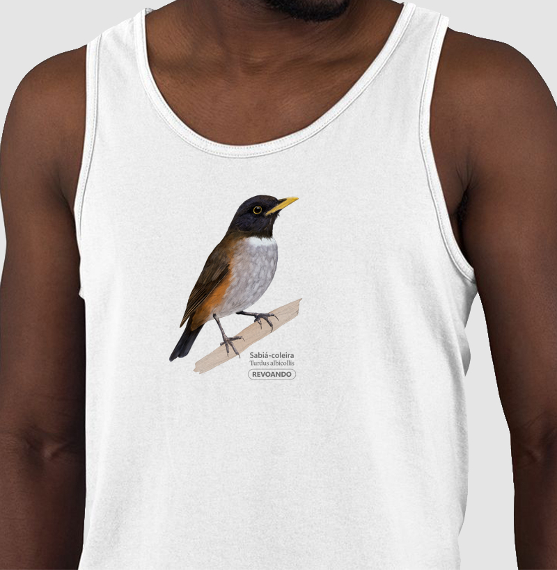 Aves do Brasil - Sabiá-coleira - Regata